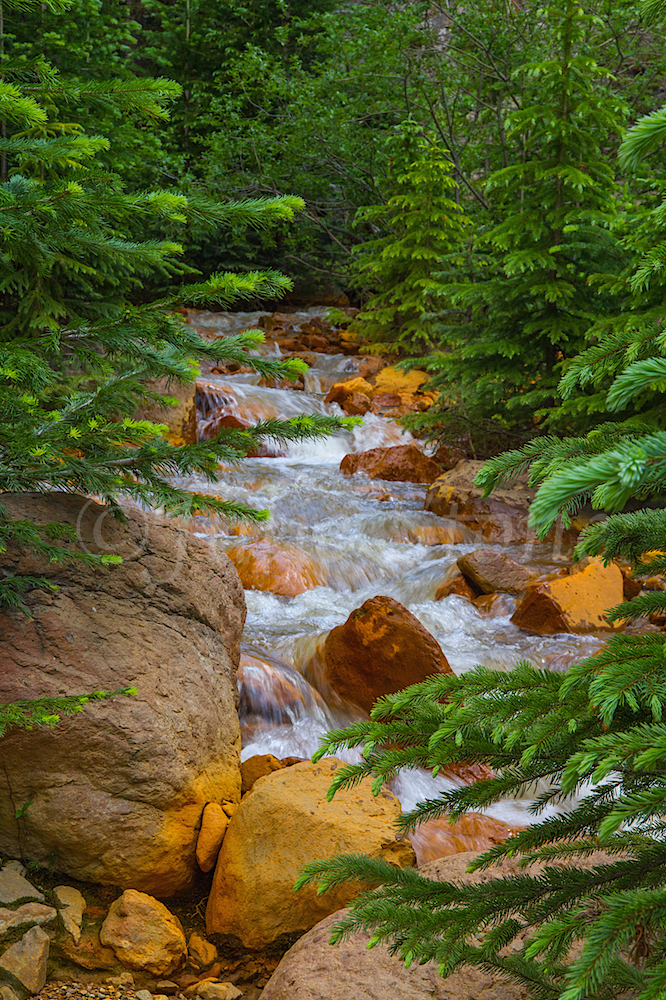 Uncompahgre River Gorge Falls, Image #9931