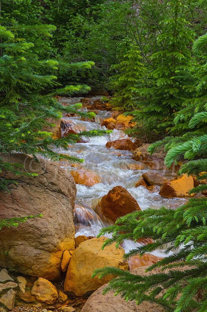 Uncompahgre River Gorge Falls, Image #9931