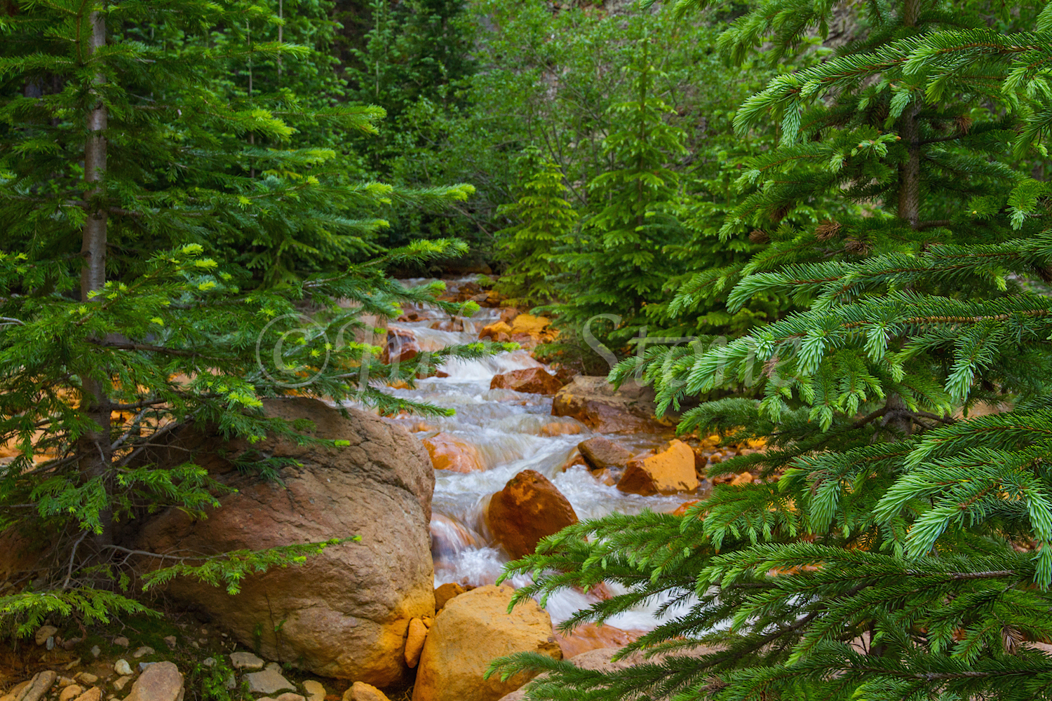 Uncompahgre River Gorge Falls, Image #9937