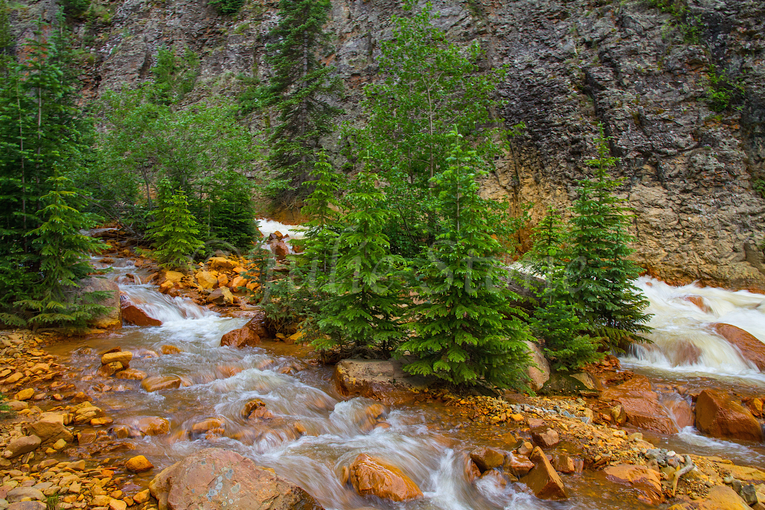 Uncompahgre River Gorge Falls, Image #9951