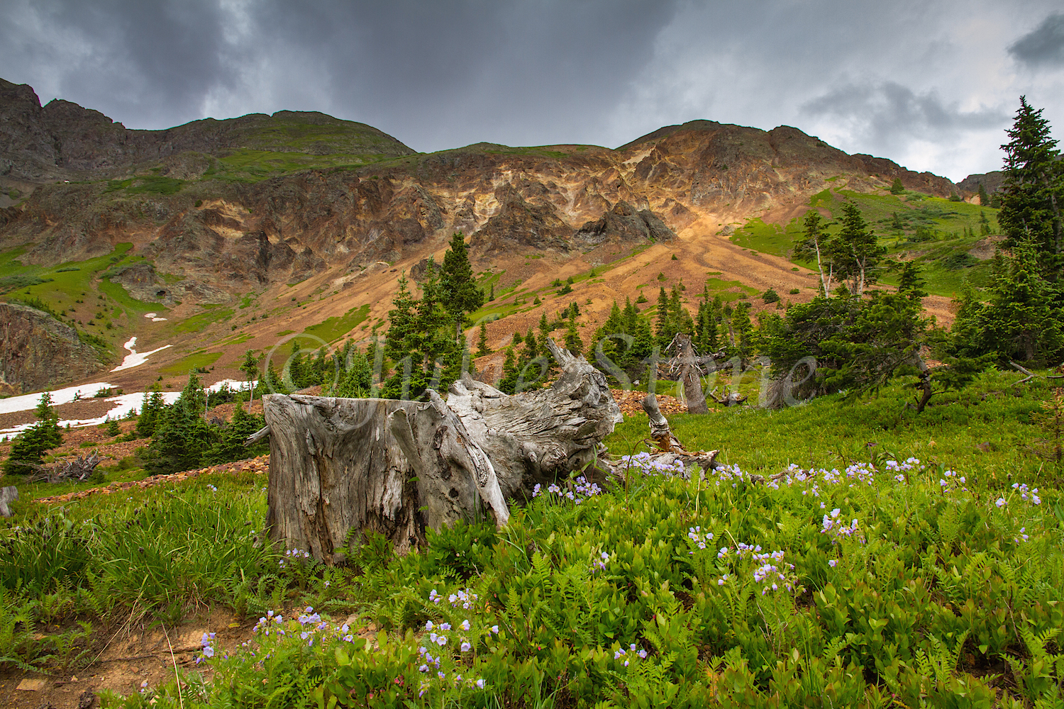 Velocity Basin, Image #2373