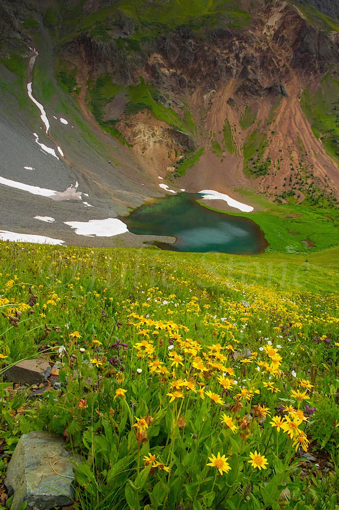 Velocity Basin, Image #1970