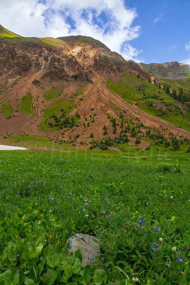 Velocity Basin, Image #2449