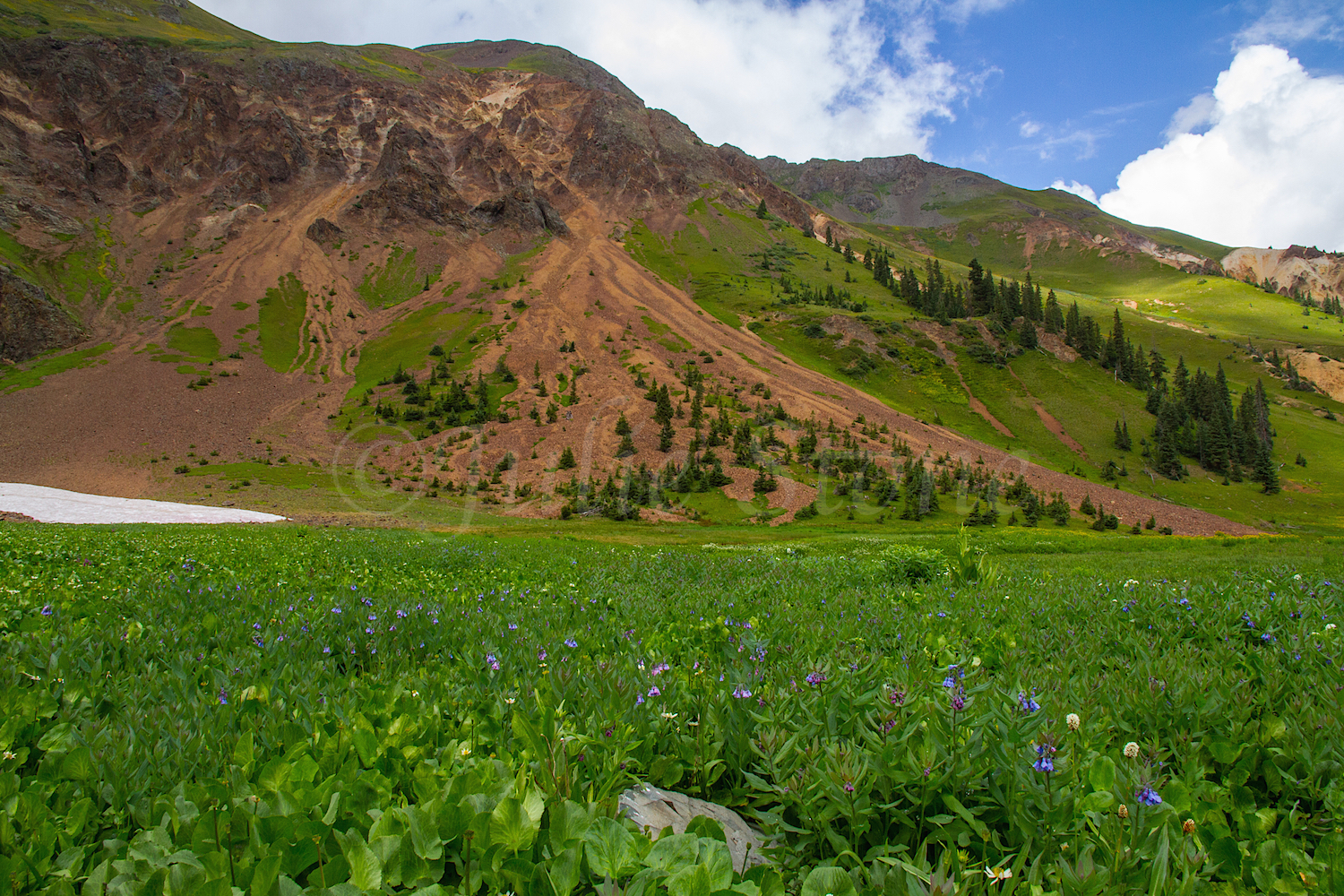 Velocity Basin, Image #2457