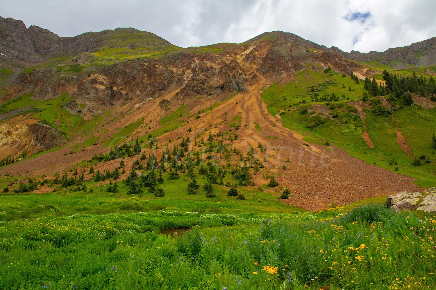 Velocity Basin, Image #2512