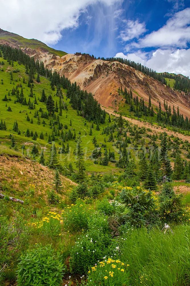 Velocity Basin, Image #2615