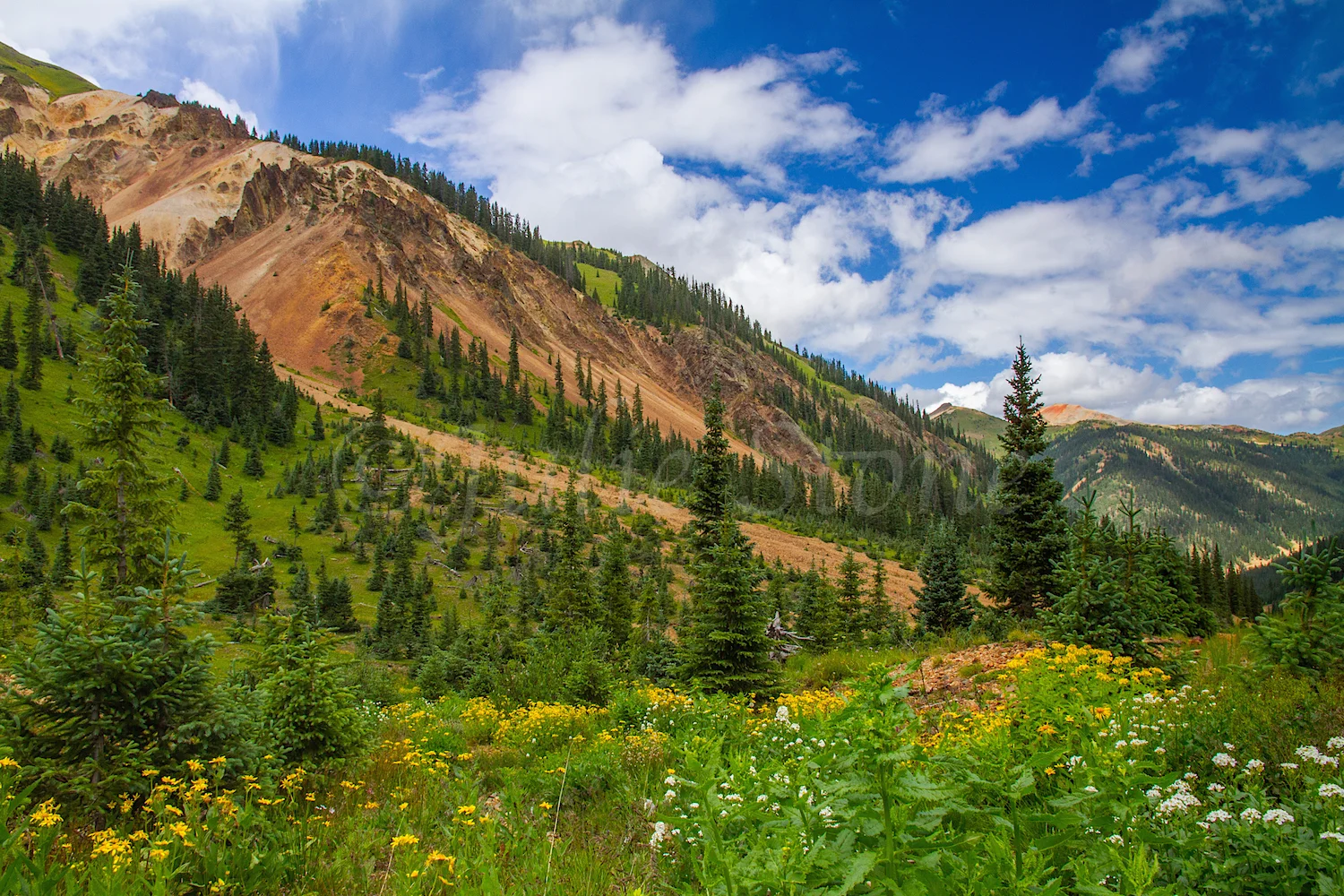 Velocity Basin, Image #2639