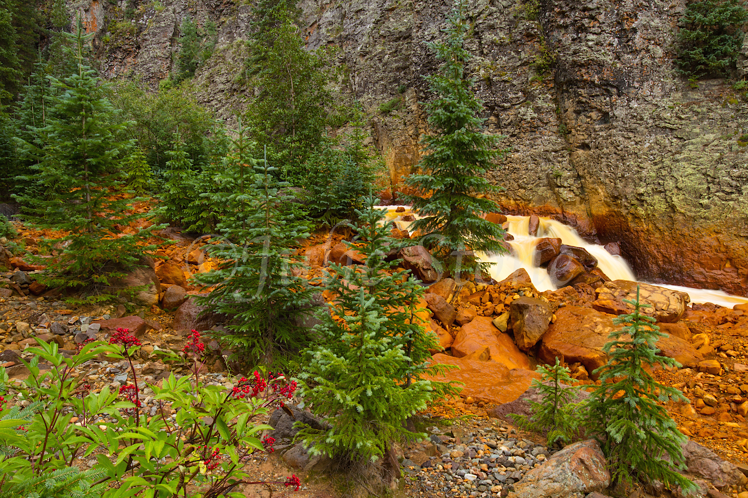 Uncompahgre River Gorge Falls, Image #4308