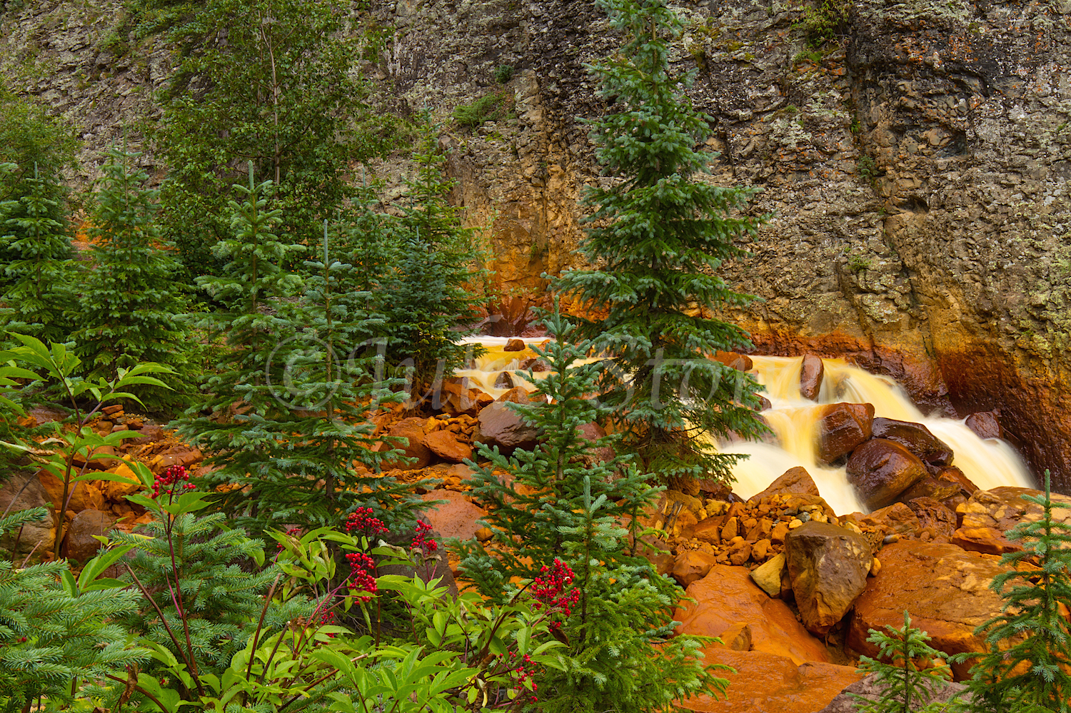 Uncompahgre River Gorge Falls, Image #4327