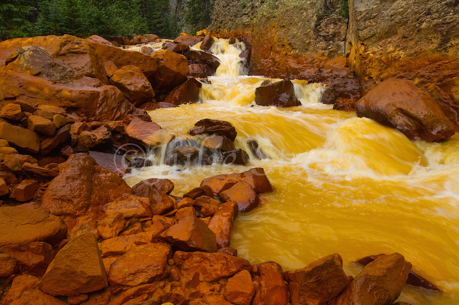 Uncompahgre River Gorge Falls, Image #4363