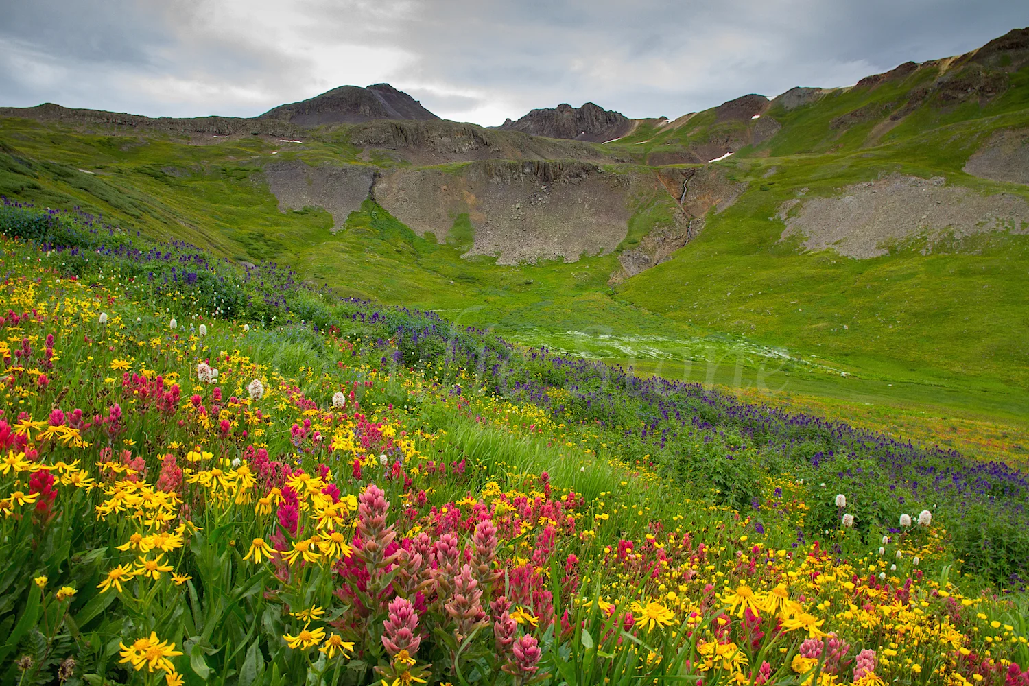 Stoney Pass, Image #6545