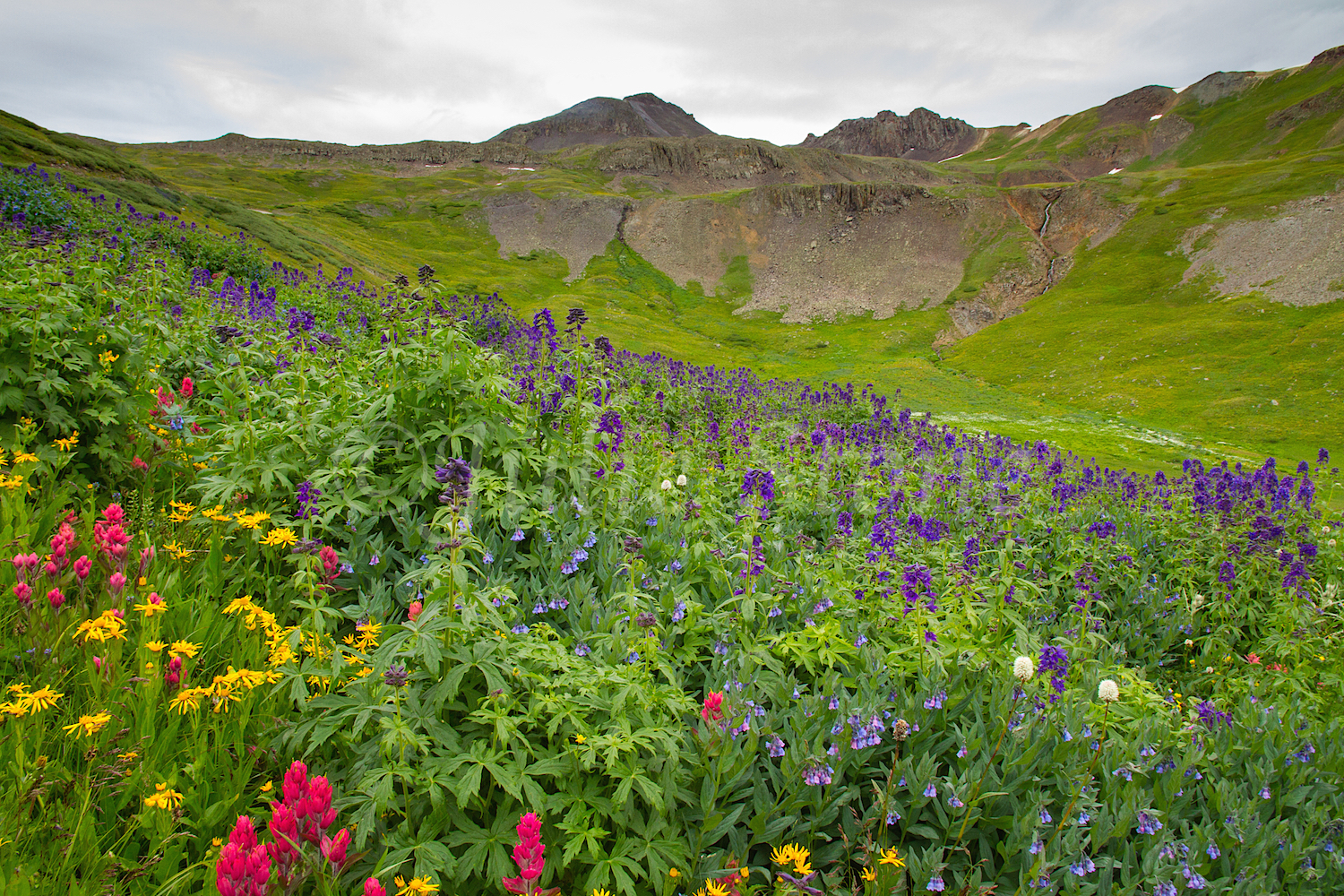 Stoney Pass, Image #6538