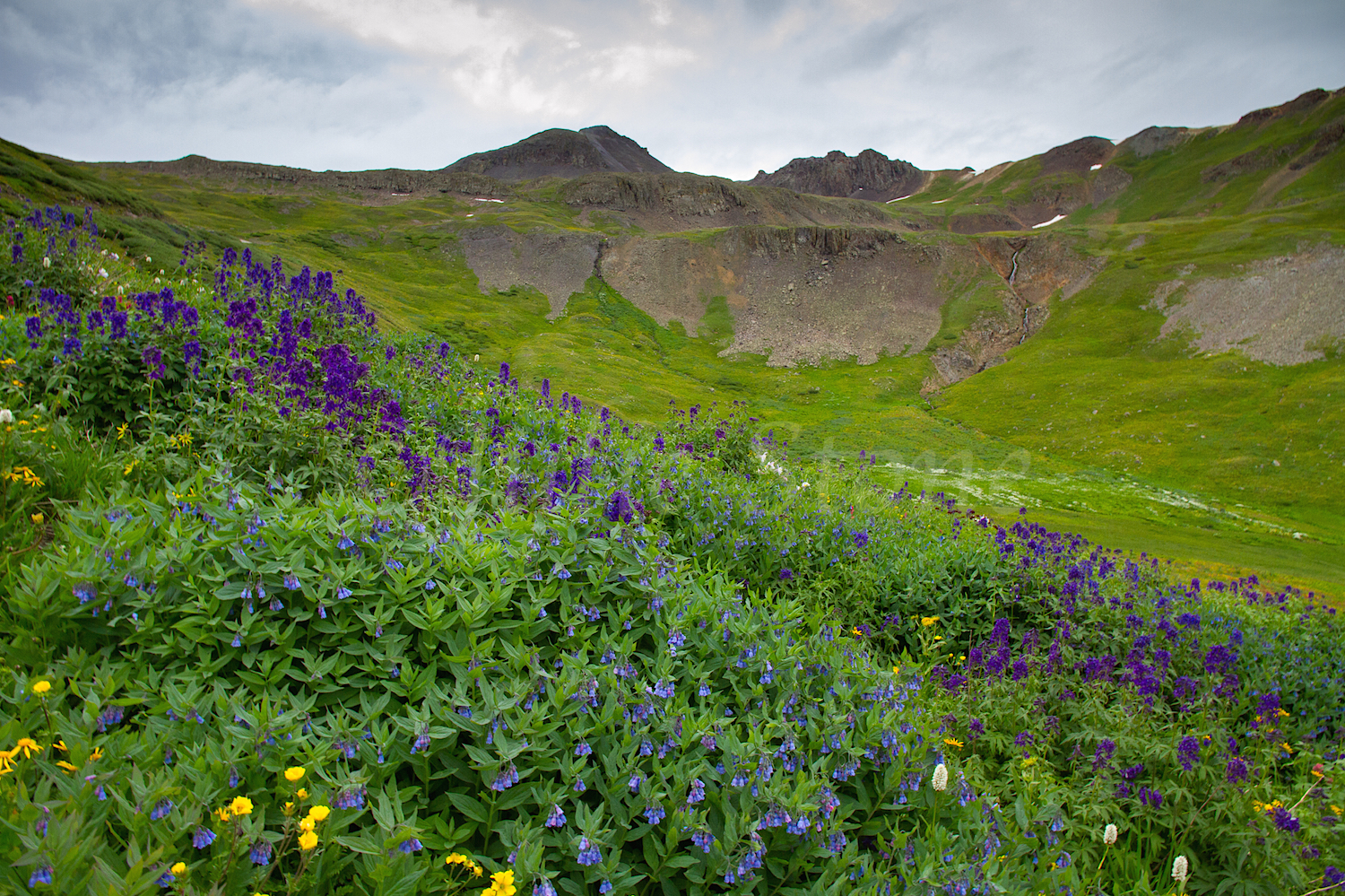 Stoney Pass, Image #6619