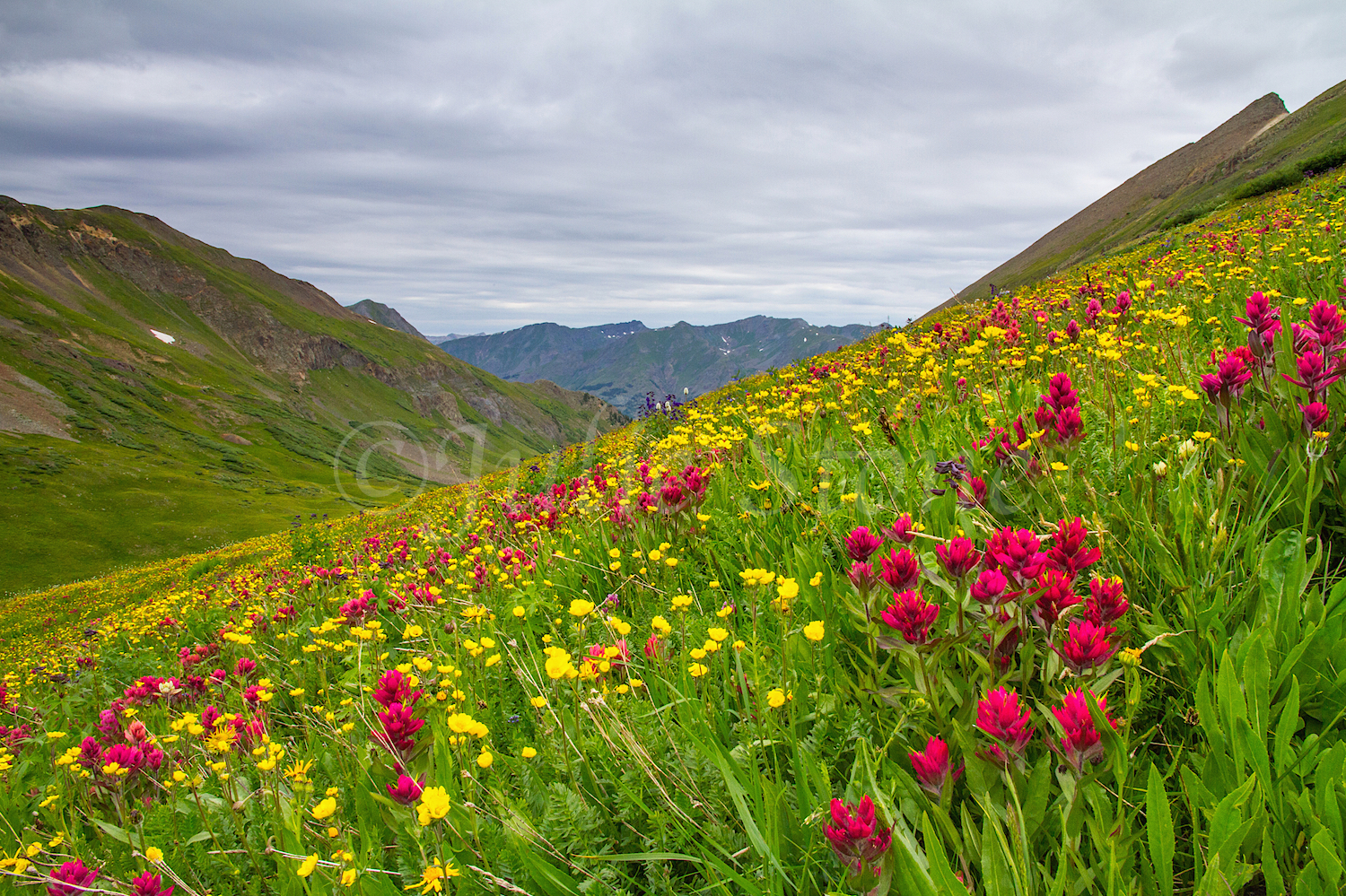 Stoney Pass, Image #6746