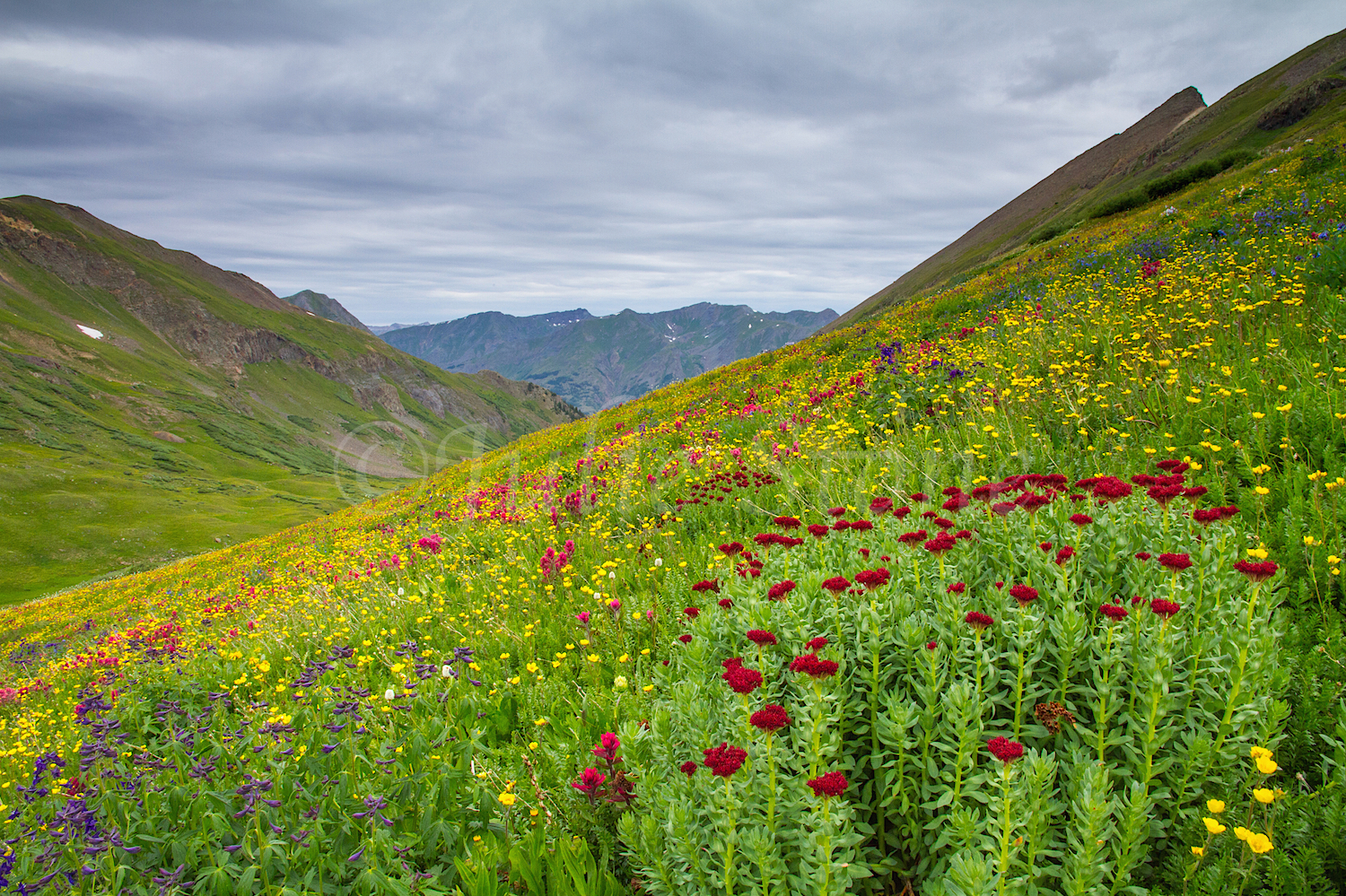 Stoney Pass, Image #6769