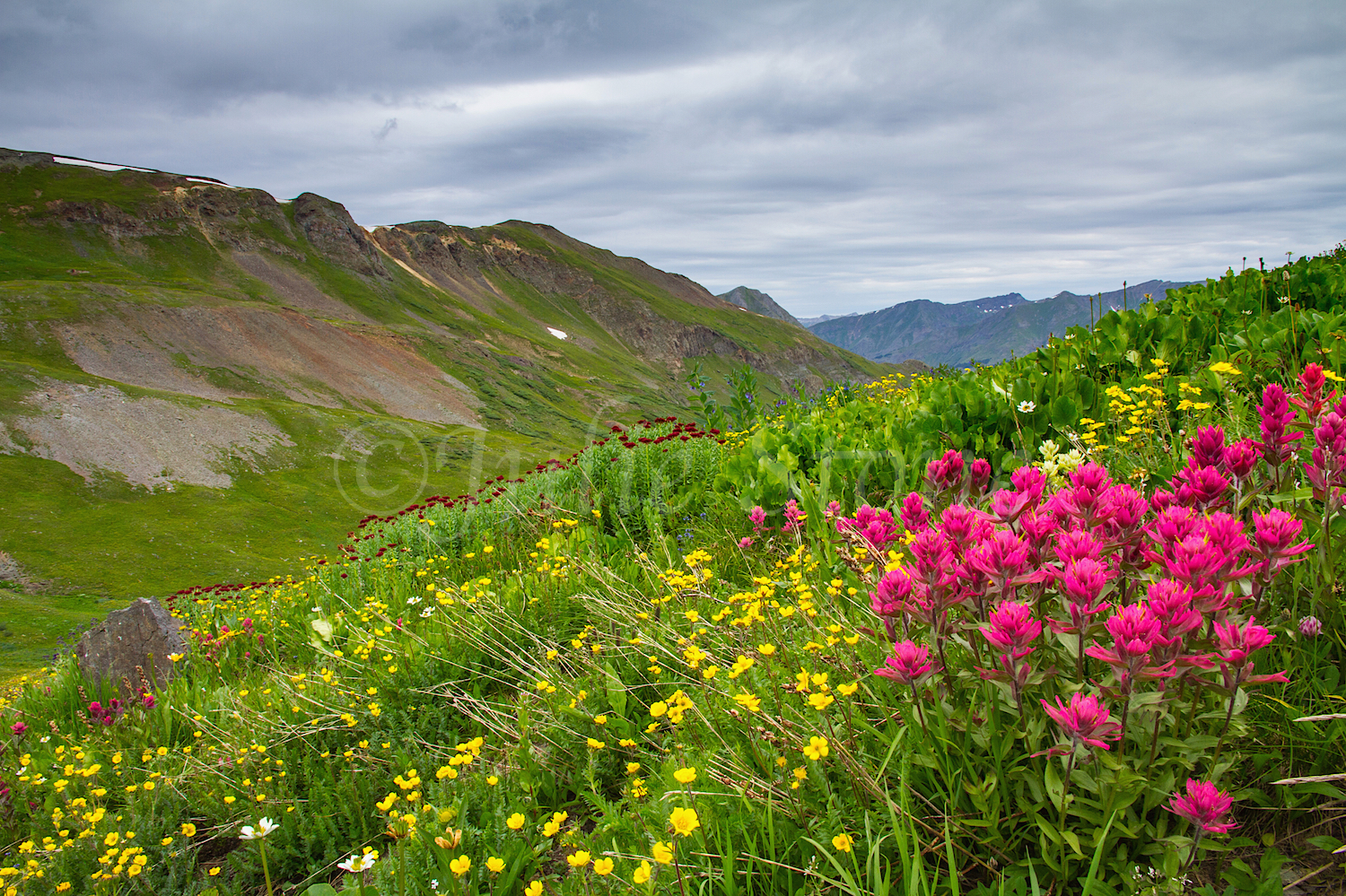 Stoney Pass, Image #6802