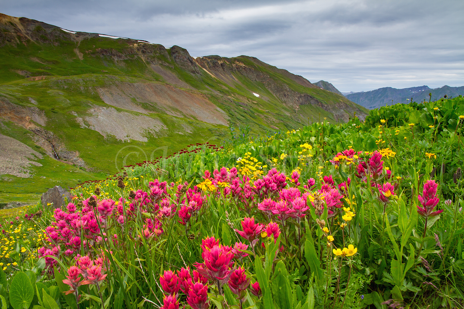 Stoney Pass, Image #6813