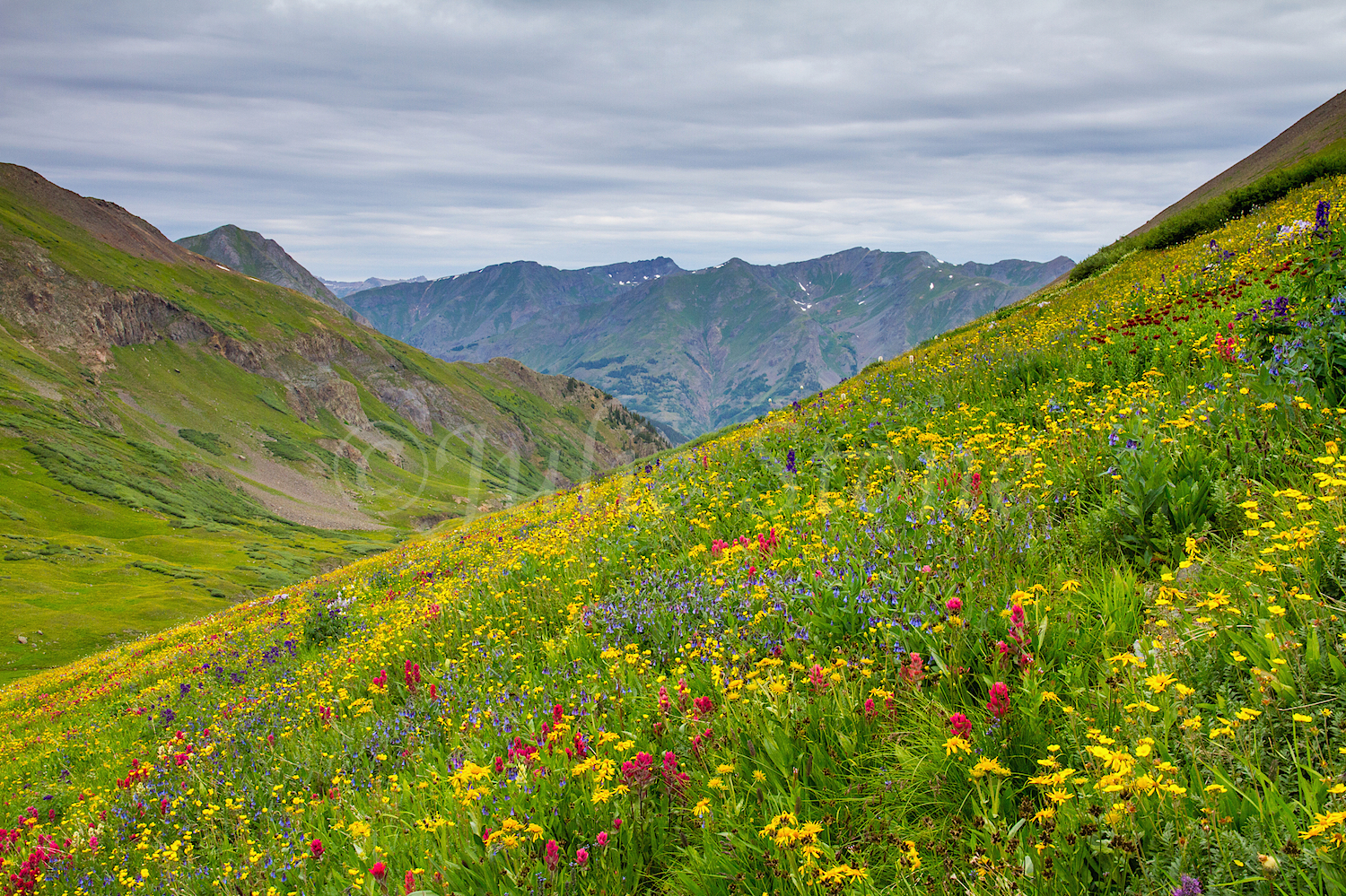 Stoney Pass, Image #6840