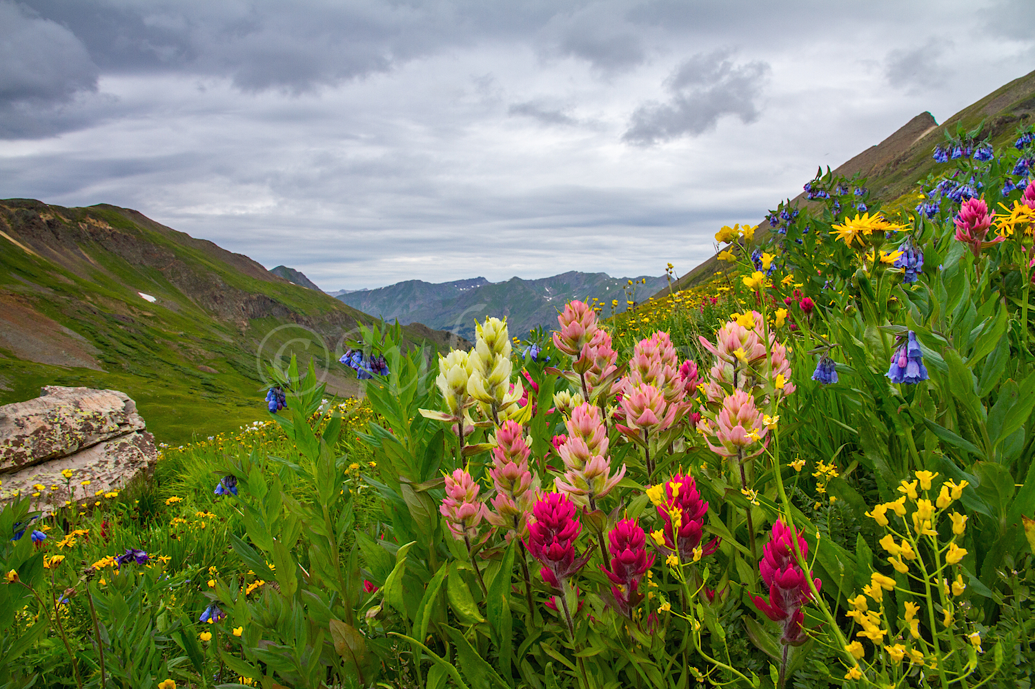 Stoney Pass, Image #6963