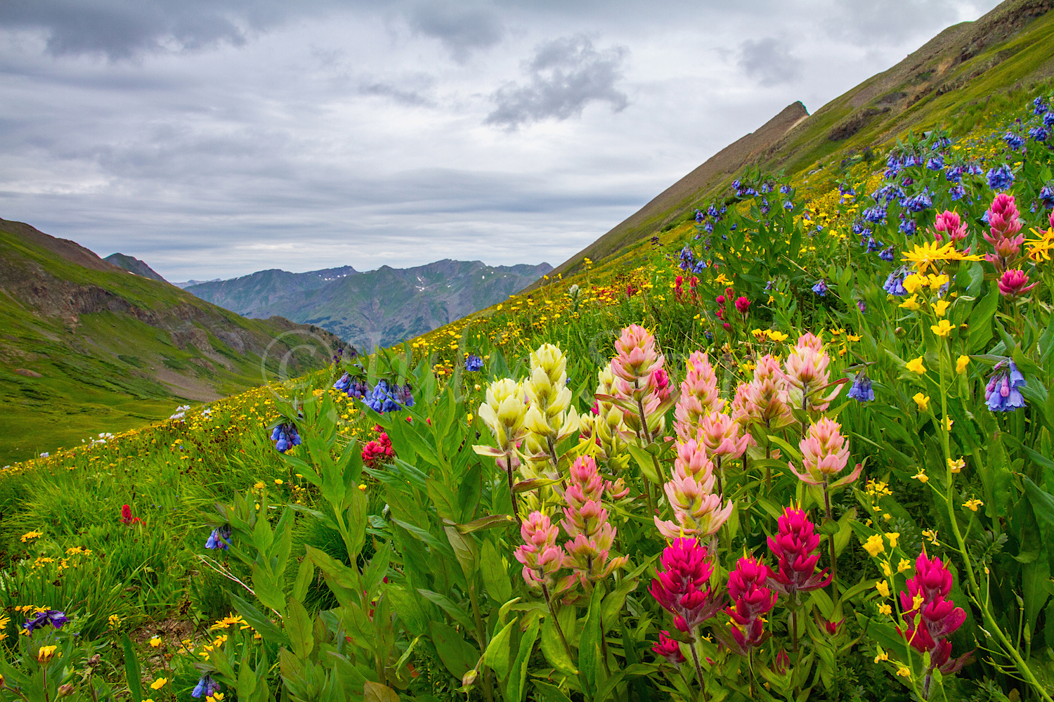 Stoney Pass, Image #6975