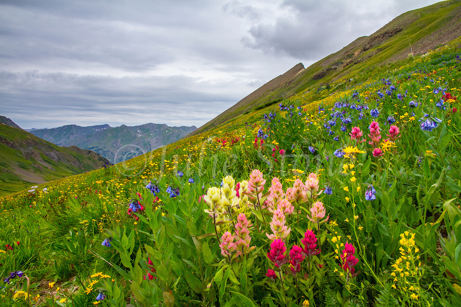 Stoney Pass, Image #7005