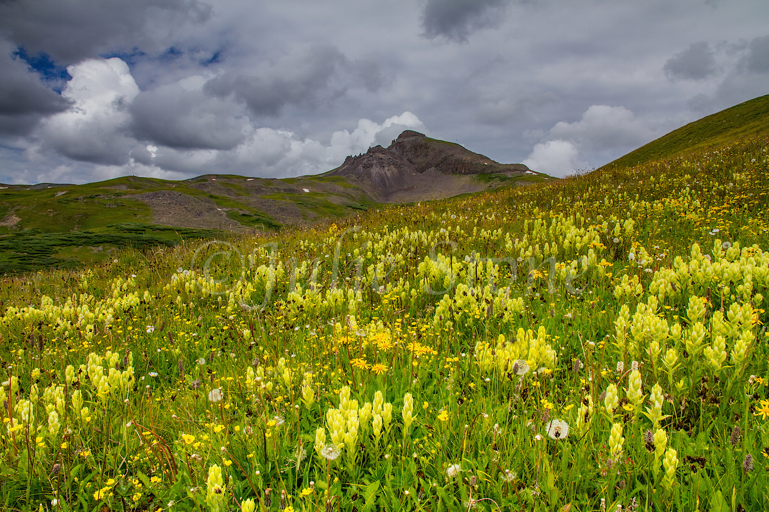 Stoney Pass, Image #7095