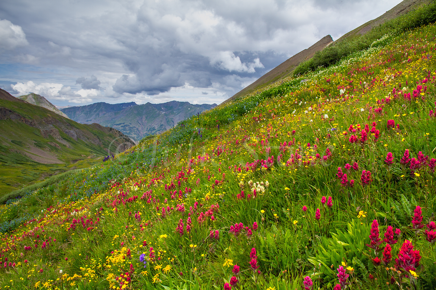 Stoney Pass, Image #7114