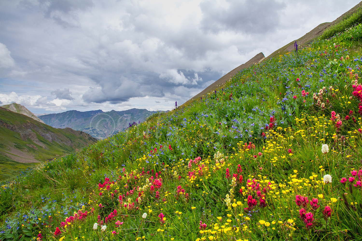 Stoney Pass, Image #7124