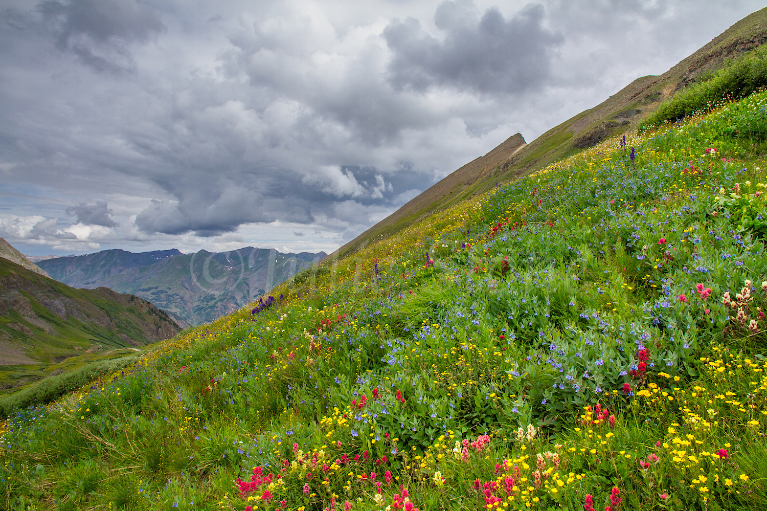 Stoney Pass, Image #7126