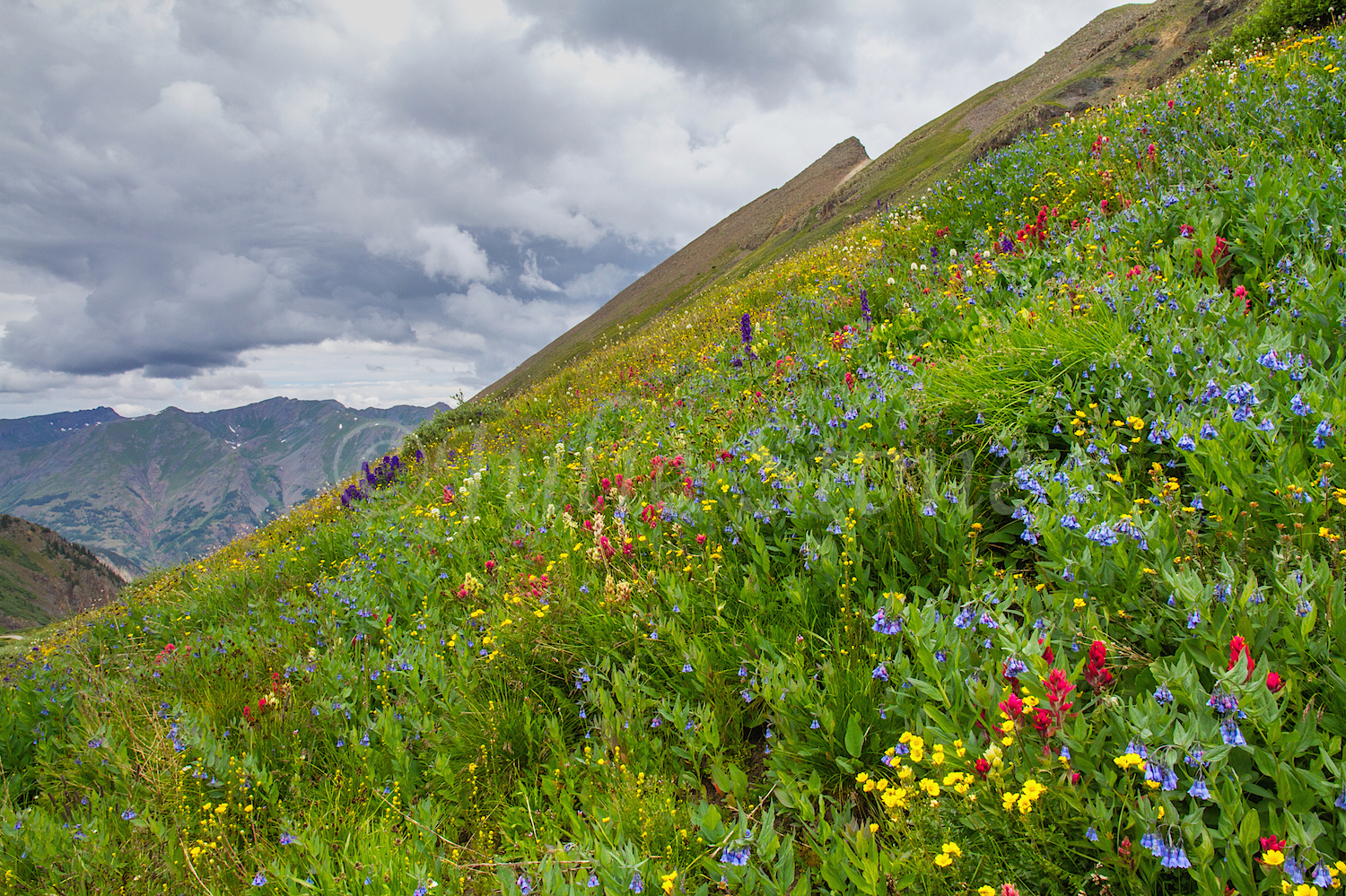 Stoney Pass, Image #7135