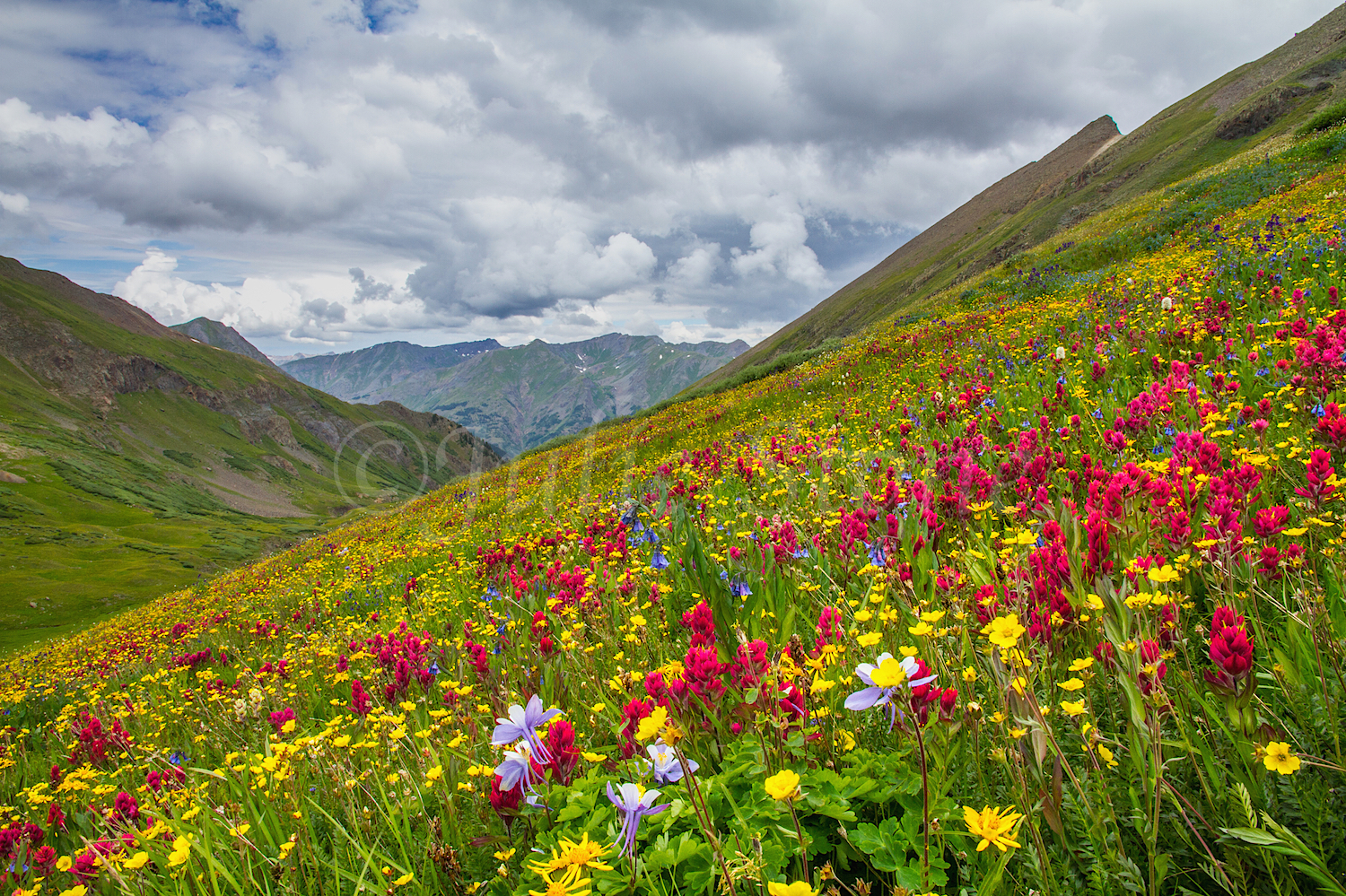 Stoney Pass, Image #7211