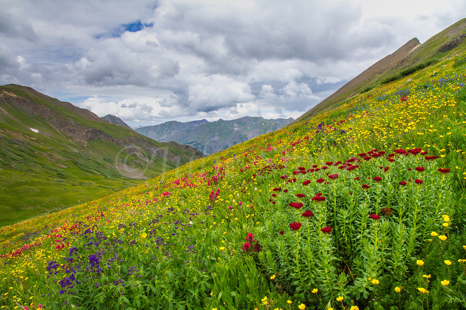 Stoney Pass, Image #7229