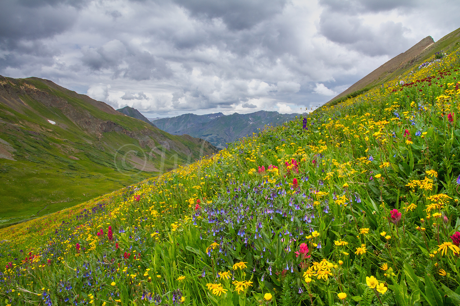 Stoney Pass, Image #7272