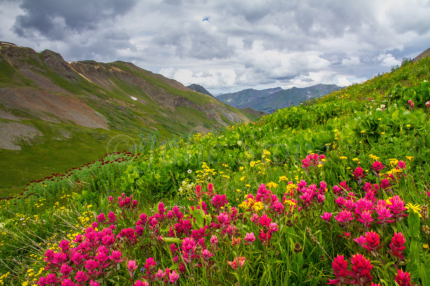 Stoney Pass, Image #7263