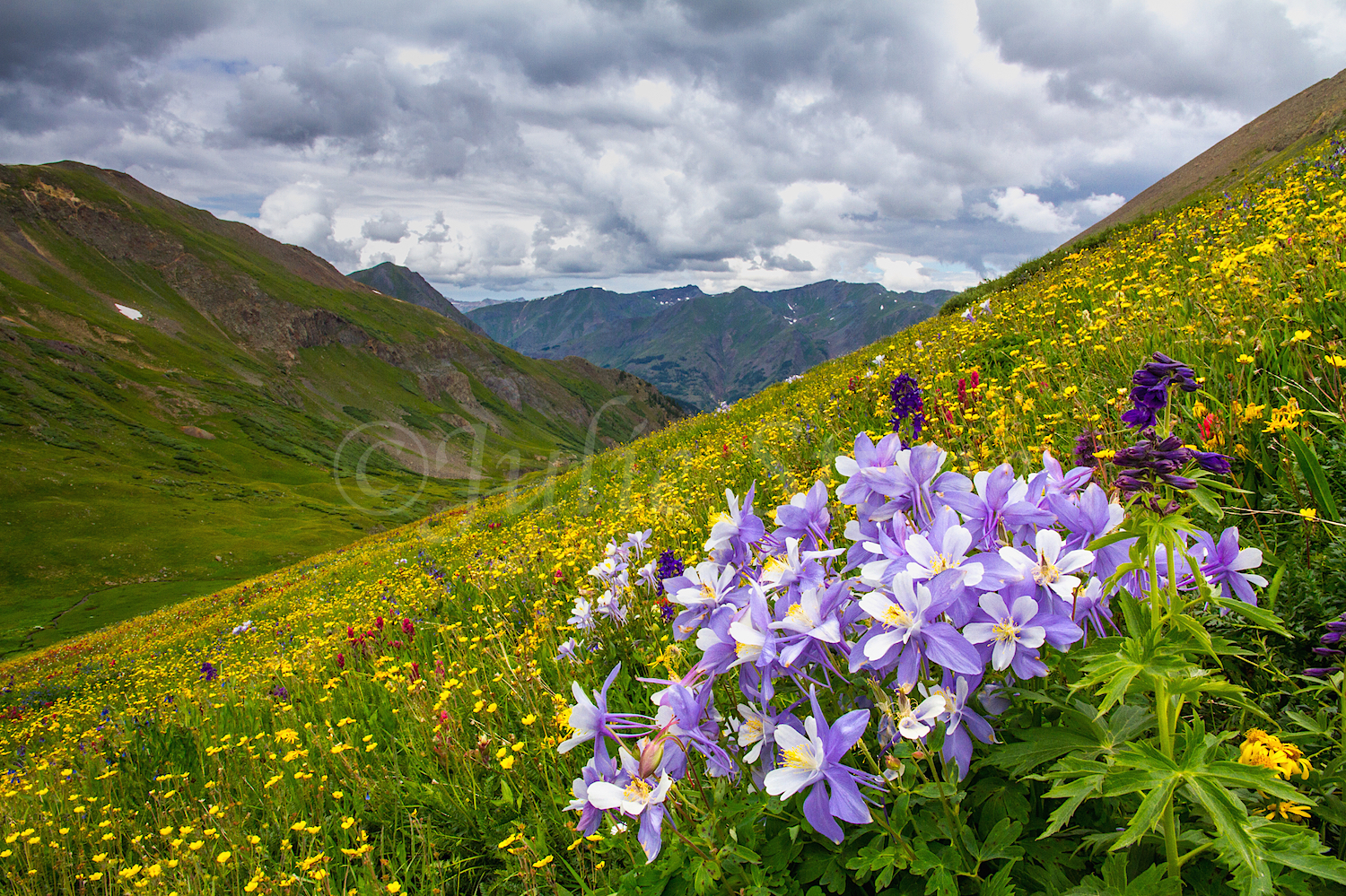 Stoney Pass, Image #7286