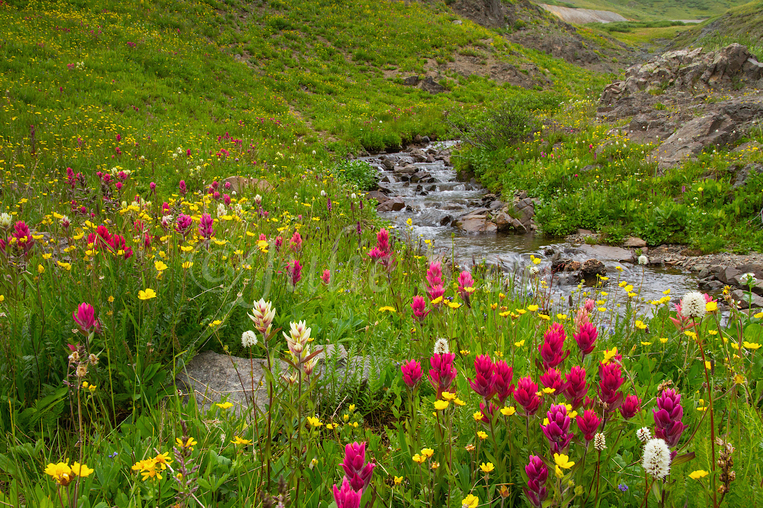 Stoney Pass, Image #7485