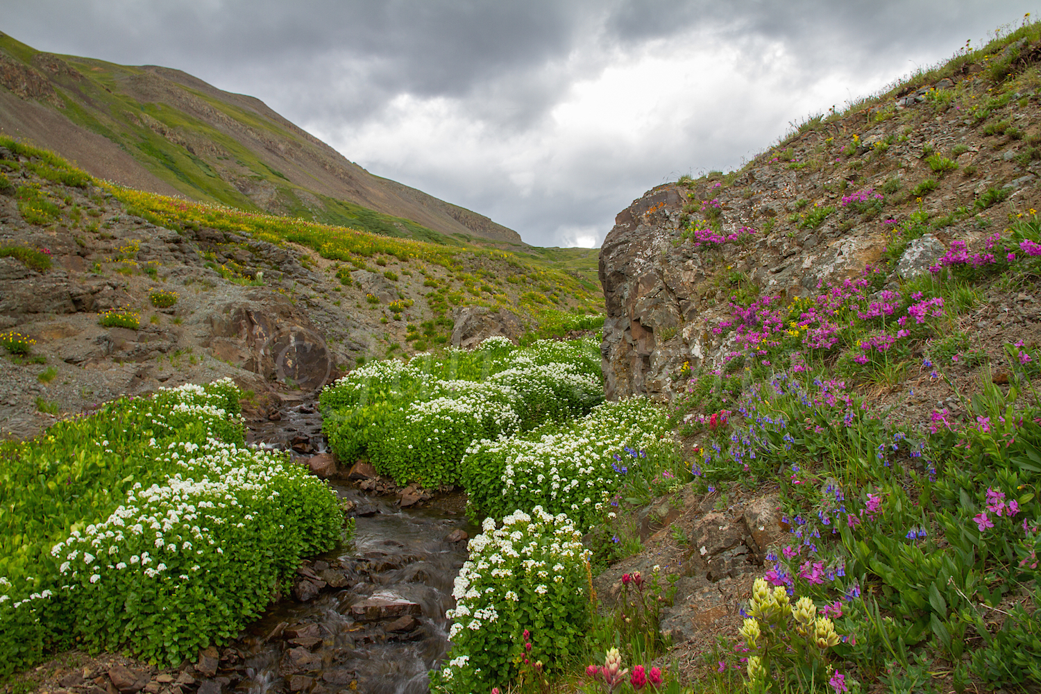 Stoney Pass, Image #7553