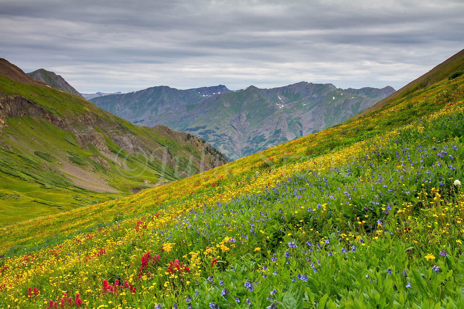 Stoney Pass, Image #6842