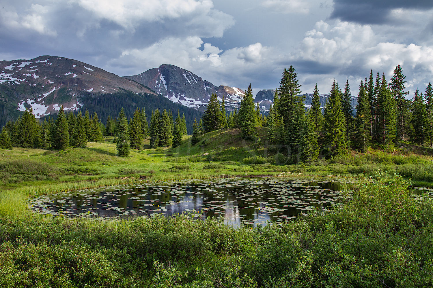 Molas Pass, Image #0182