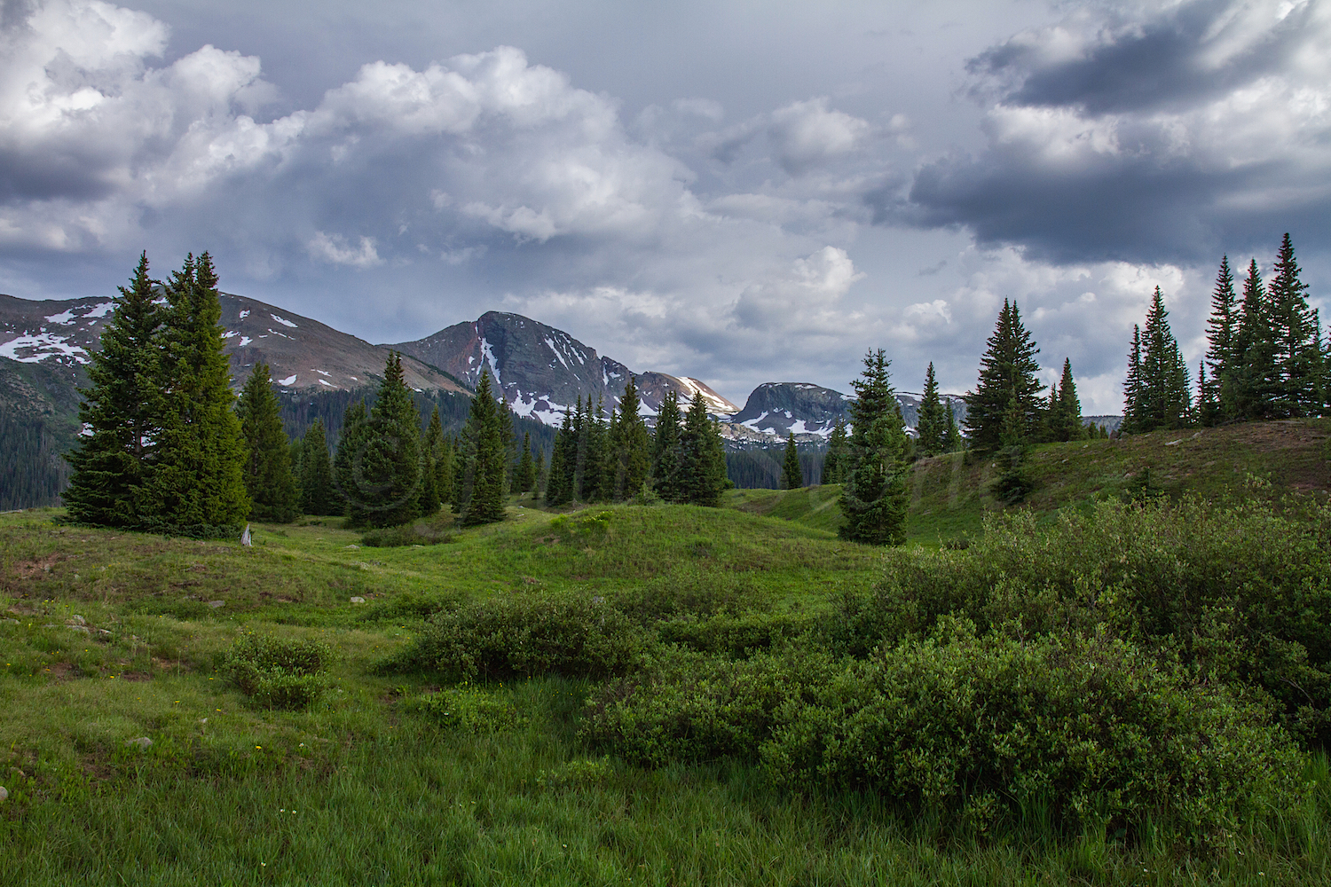 Molas Pass, Image #0204