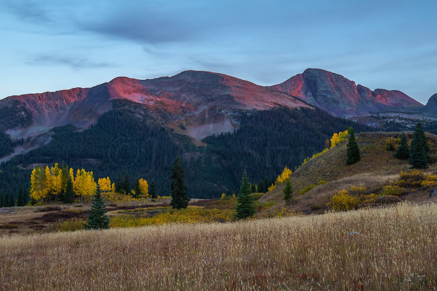 Molas Pass, Image #2472
