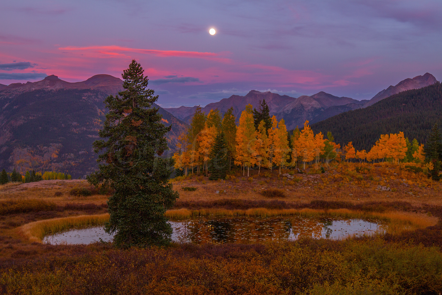 Molas Pass, Image #2489