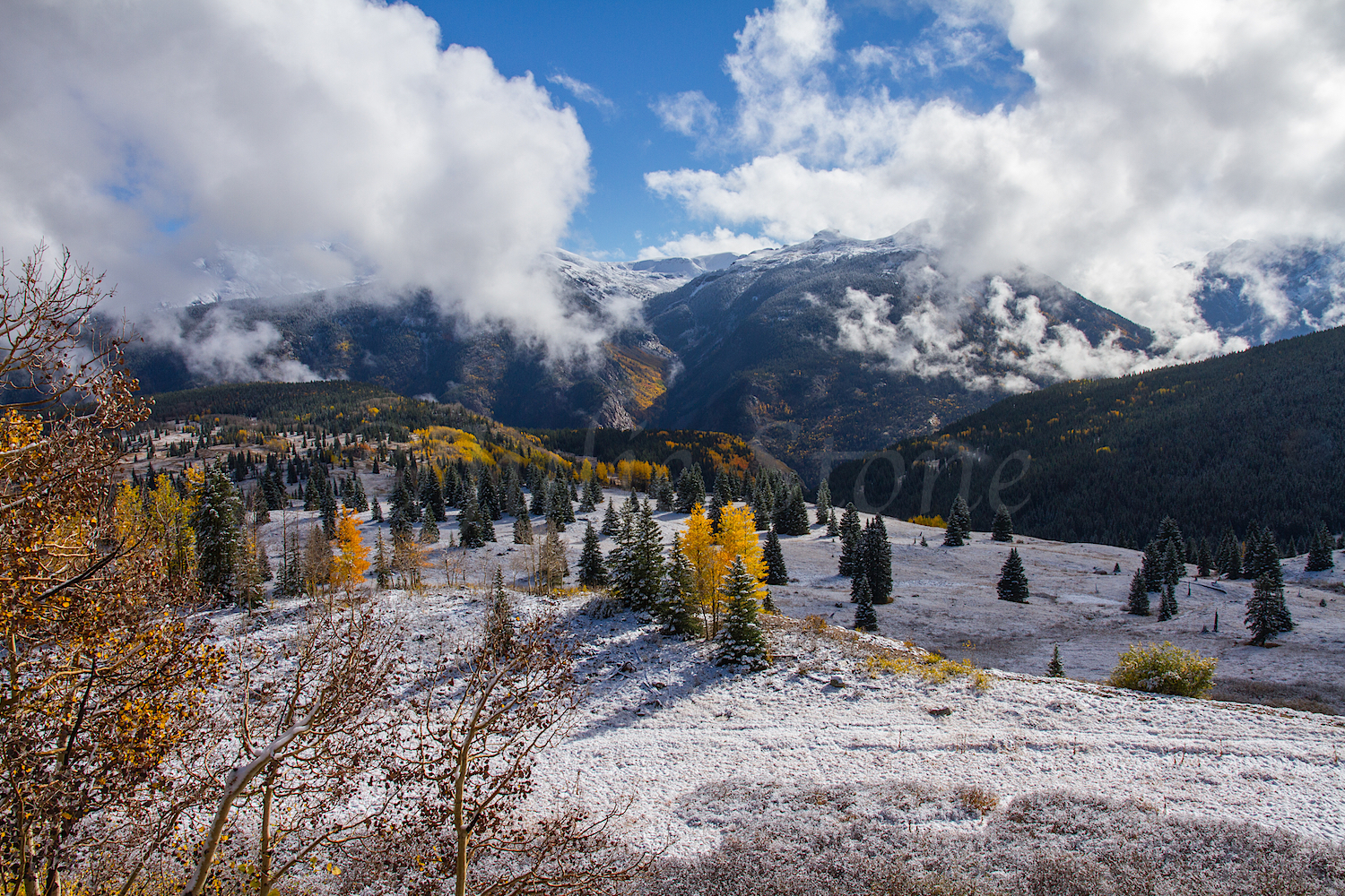 Molas Pass, Image #6560