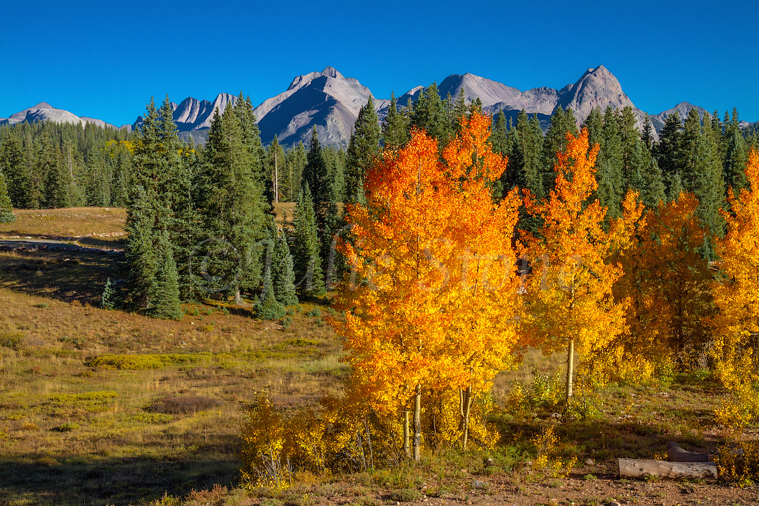 Molas Pass, Image #7858