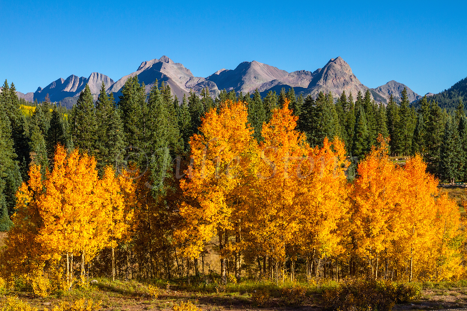 Molas Pass, Image #7835