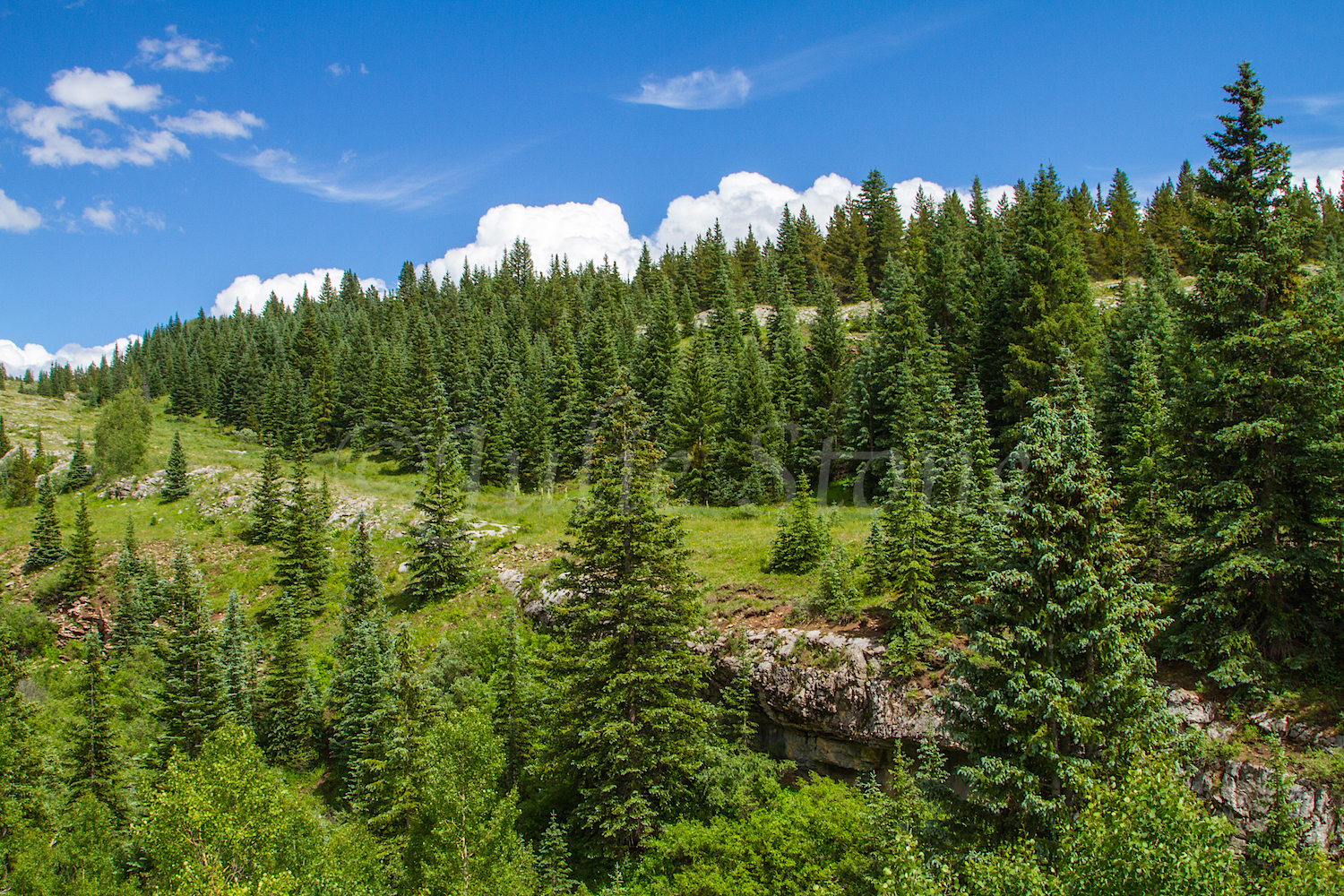 Molas Pass, Image #1896