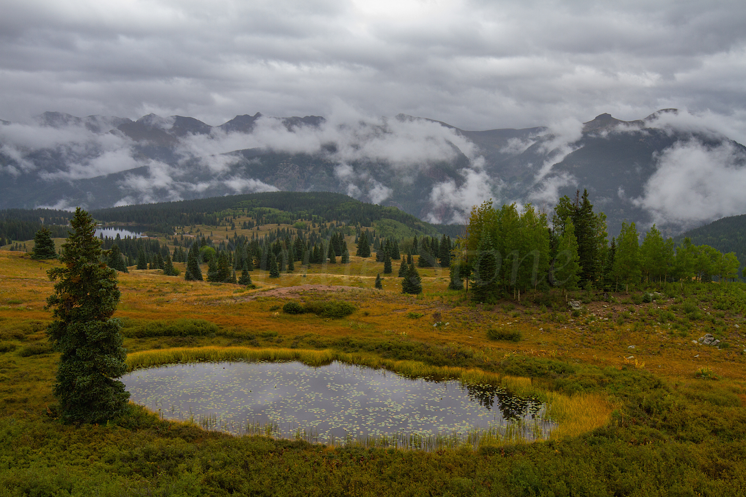 Molas Pass, Image #4415