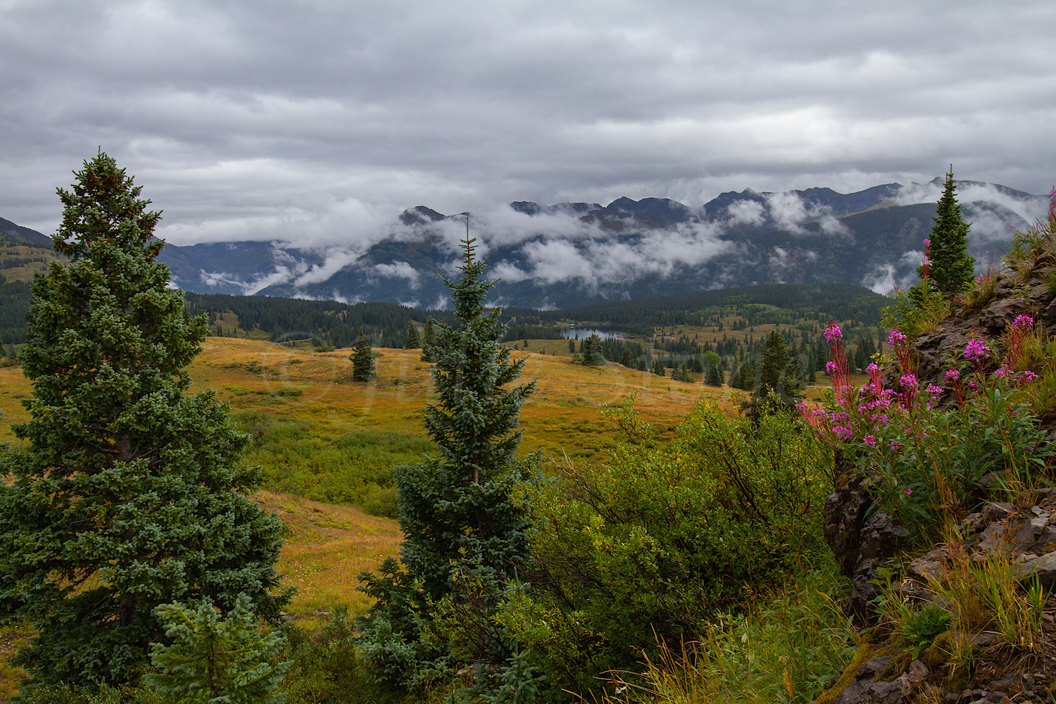 Molas Pass, Image #4397