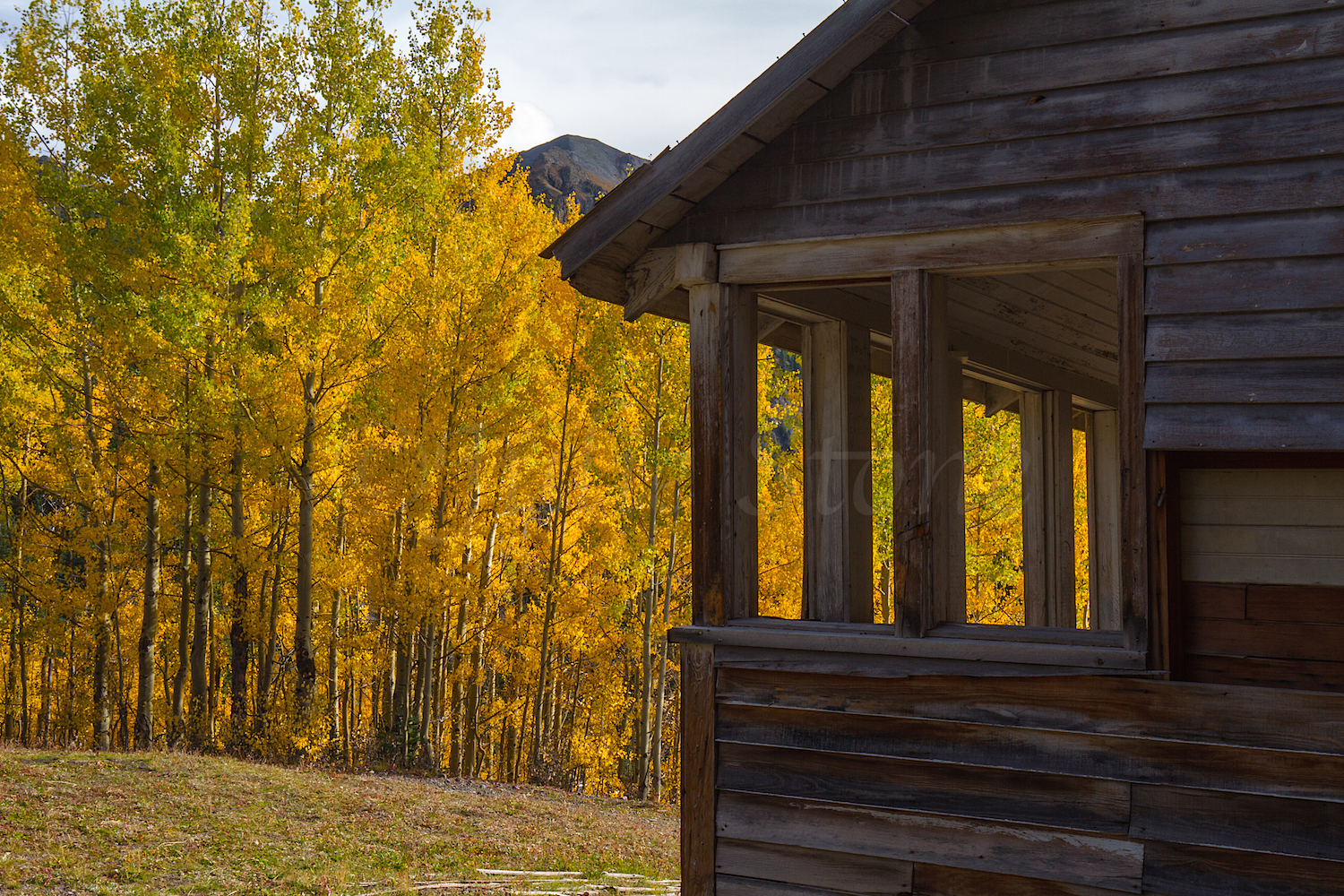 Alta Ghost Town, Image #3530