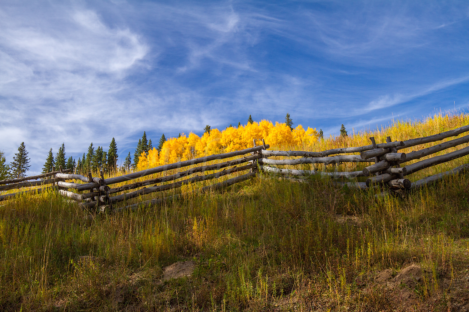 Alta Ghost Town, Image #3716